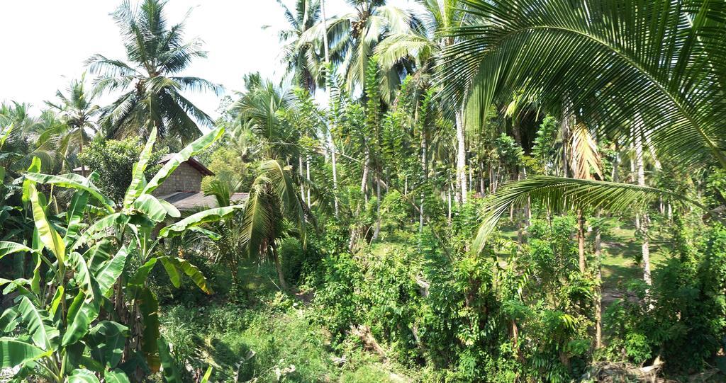 Damith Guest House Unawatuna Exterior photo